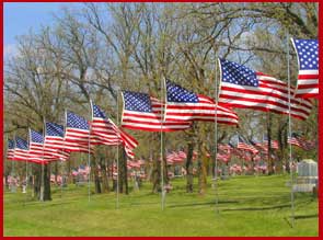 Parade Of Flags Oak Grove Cemetery Detroit Lakes Minnesota Land Of 412 Lakes